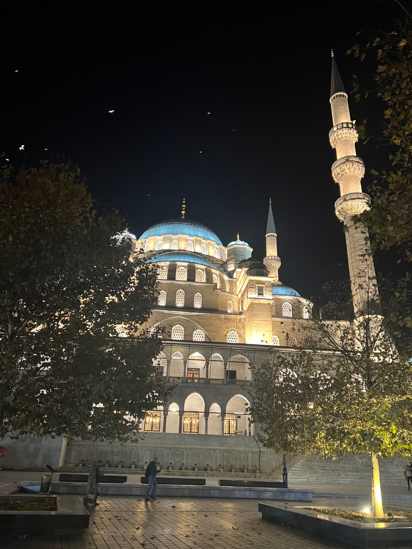 Istanbul — Yeni Cami glowing under the night sky.