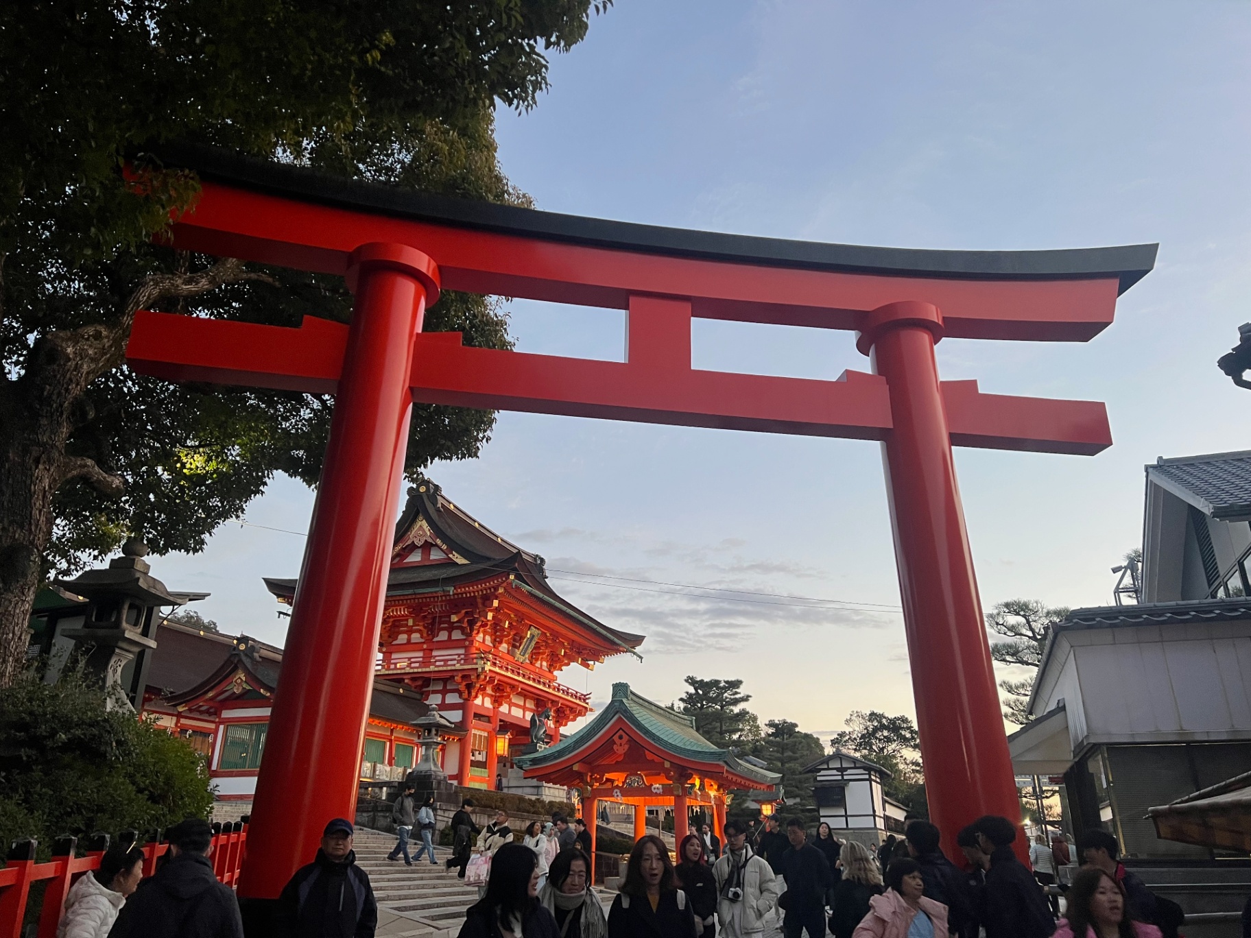 Kyoto — A vermilion torii framing the shrine courtyard at dusk.