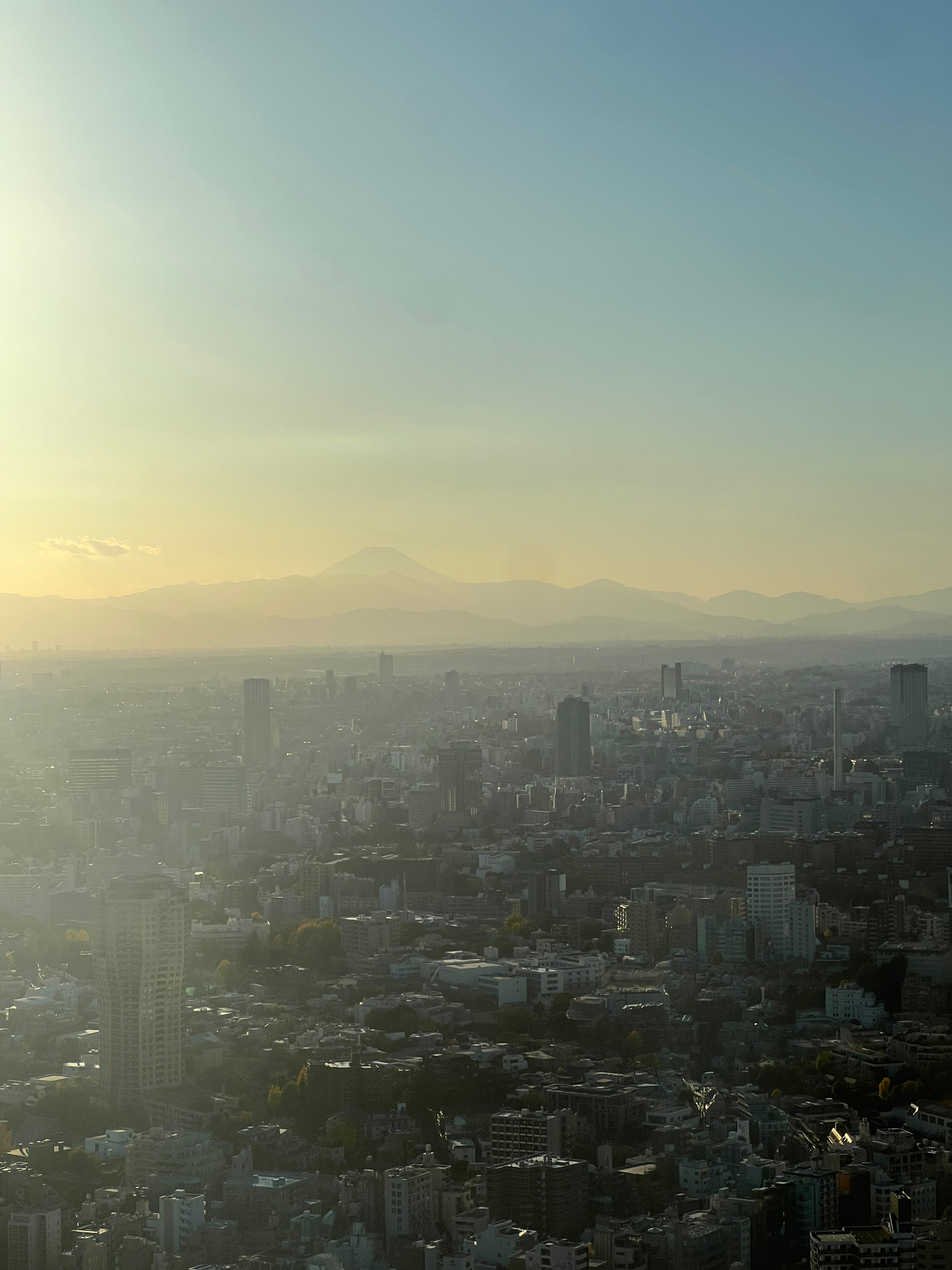 Tokyo — Mount Fuji floating on the horizon at sunset, the city sprawling out beneath.
