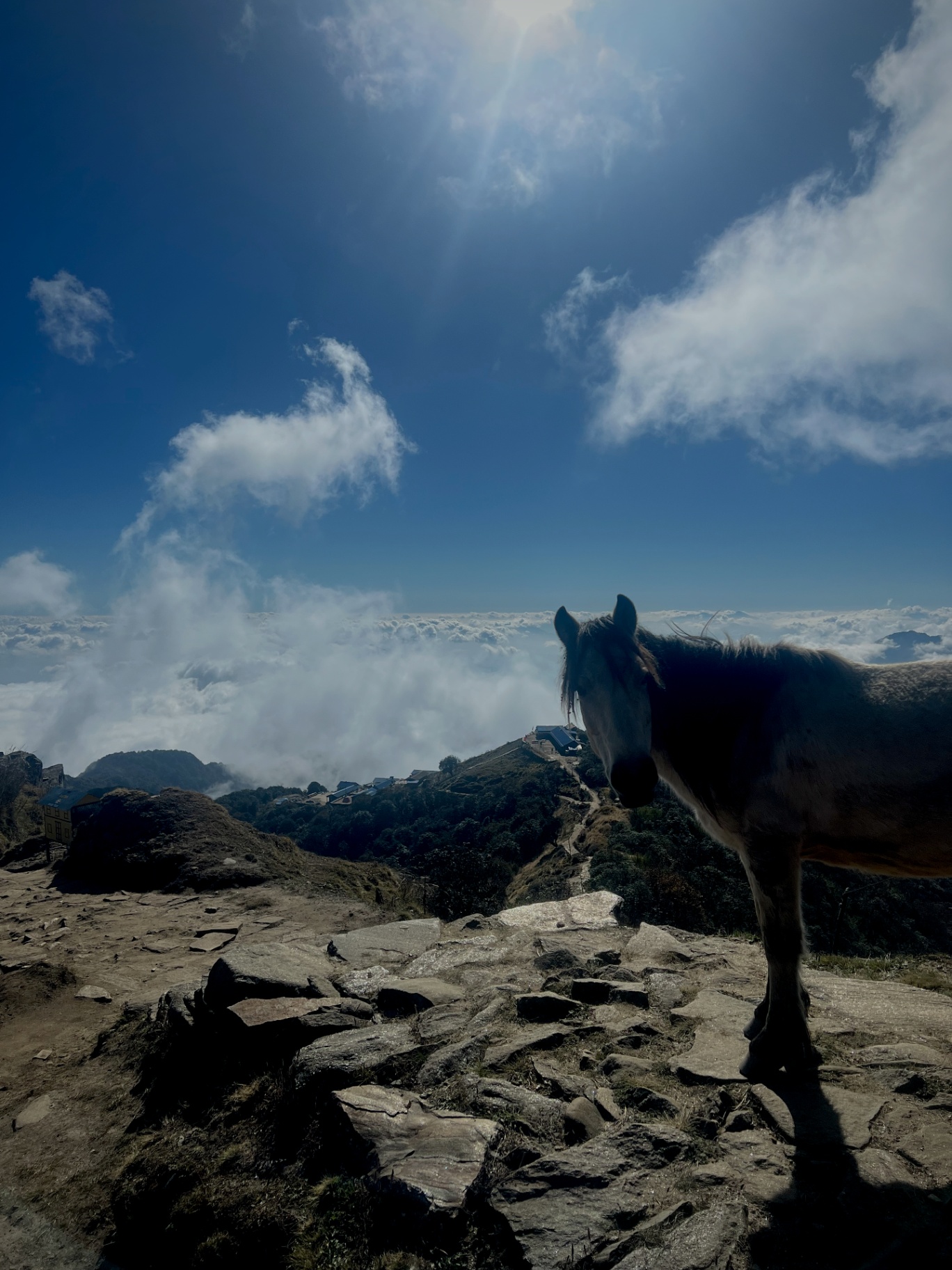 Pokhara — A trekking horse on the ridge with clouds rolling in below.