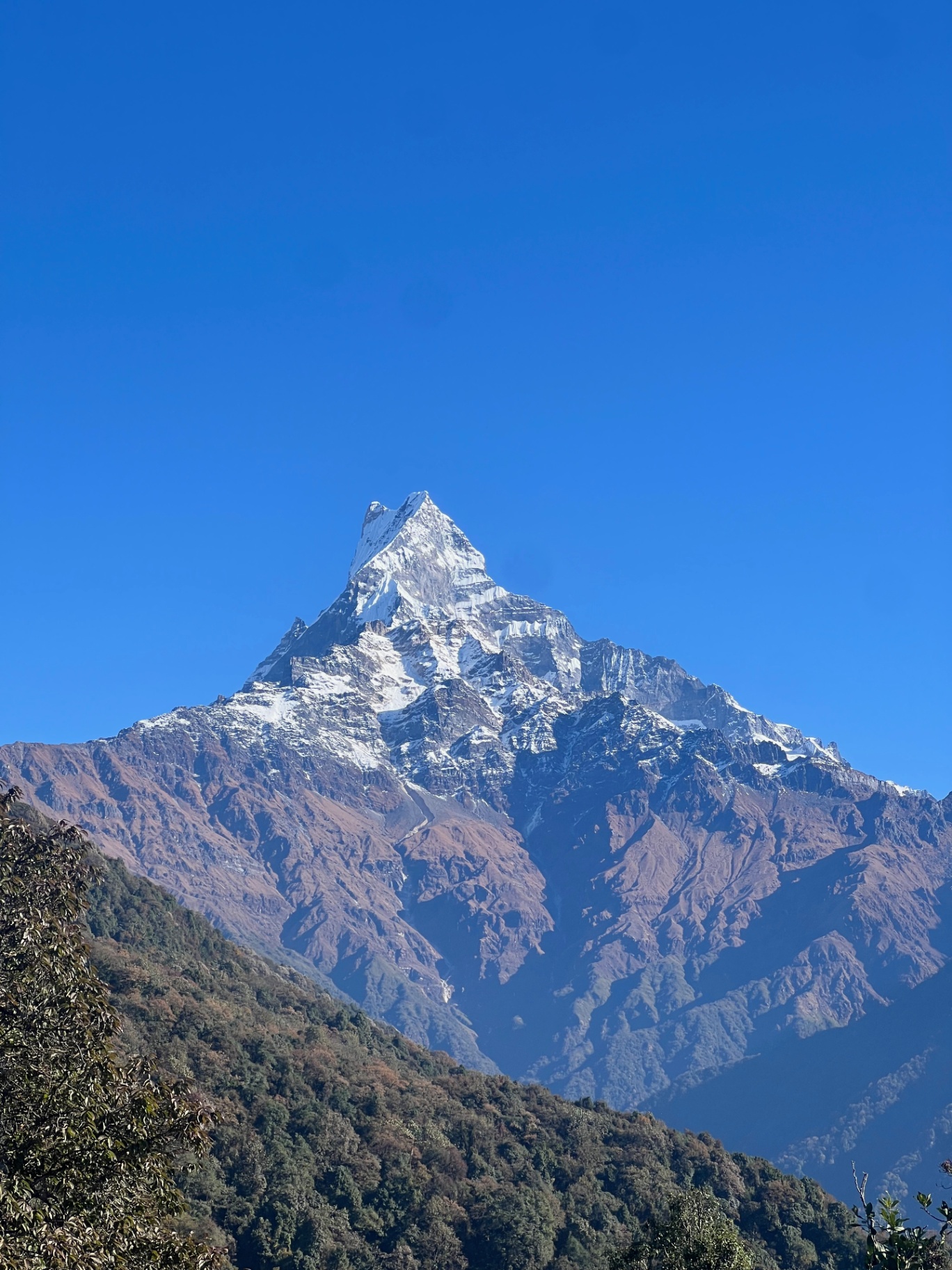 Pokhara — Machhapuchhre rising sharp and snow-bright against a perfect blue sky.