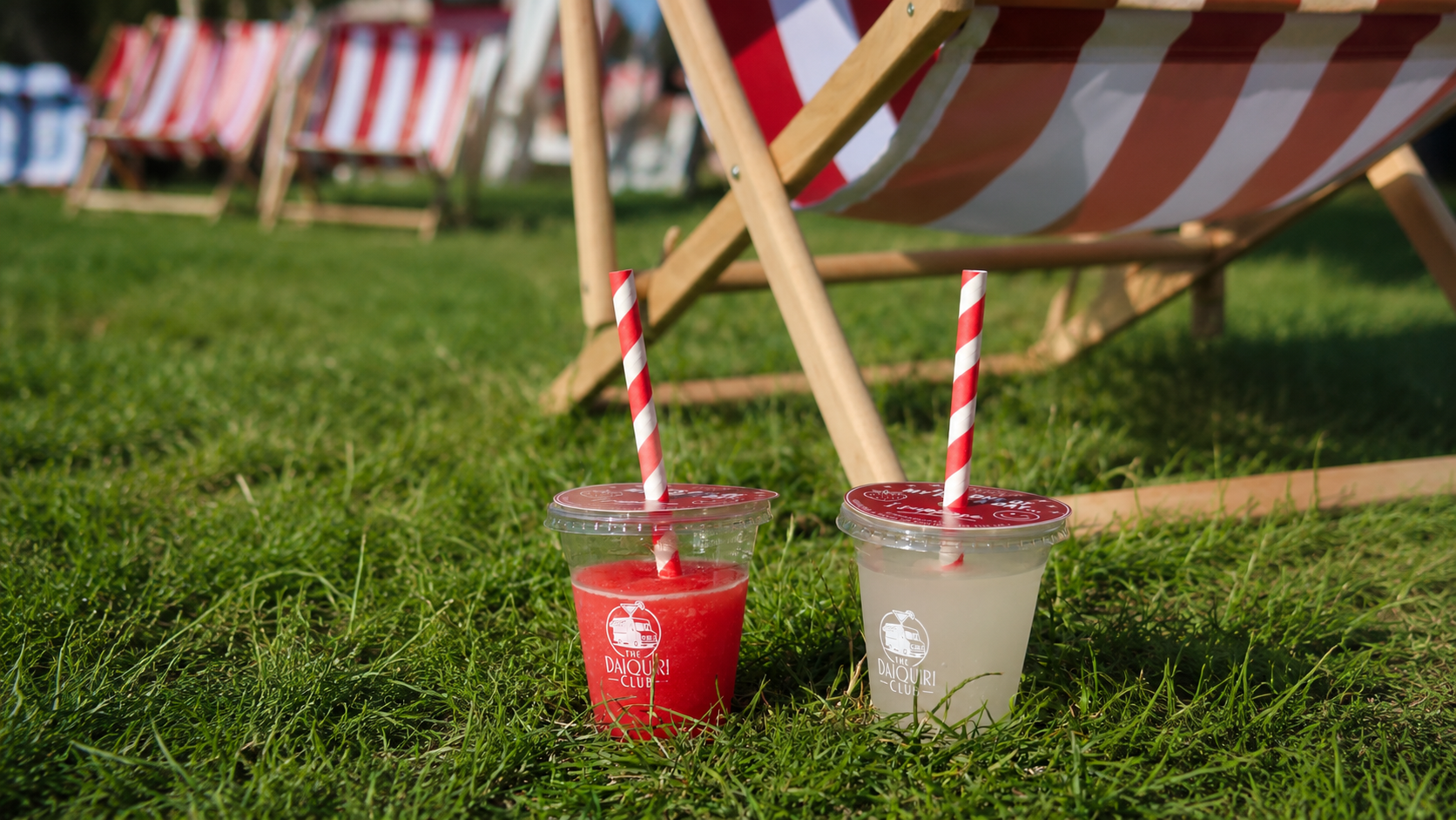 Two Daiquiri Club drinks on grass in front of red-and-white deck chairs
