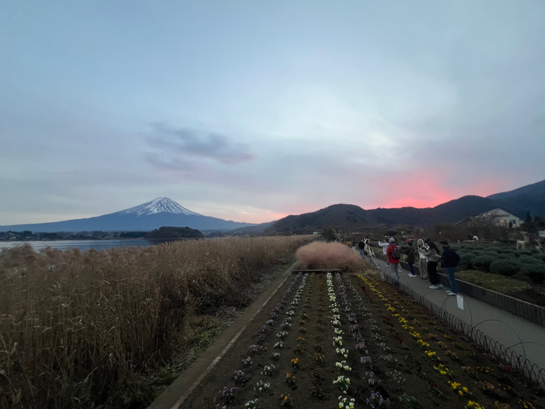 Mount Fuji — Pink sunset glow beside Fuji over Lake Kawaguchi.
