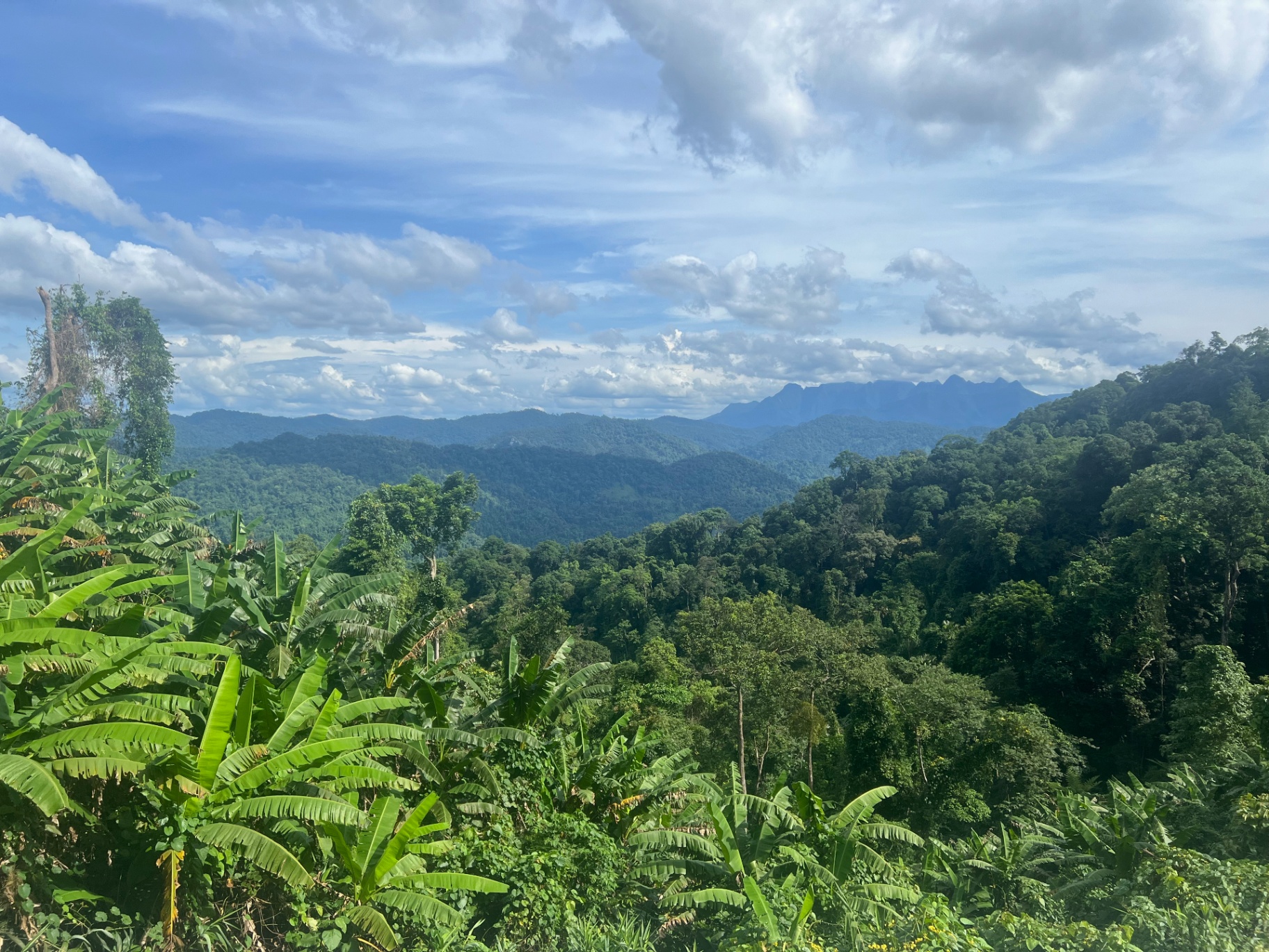 Phong Nha — Jungle valleys rolling out toward the karst spine of Phong Nha.