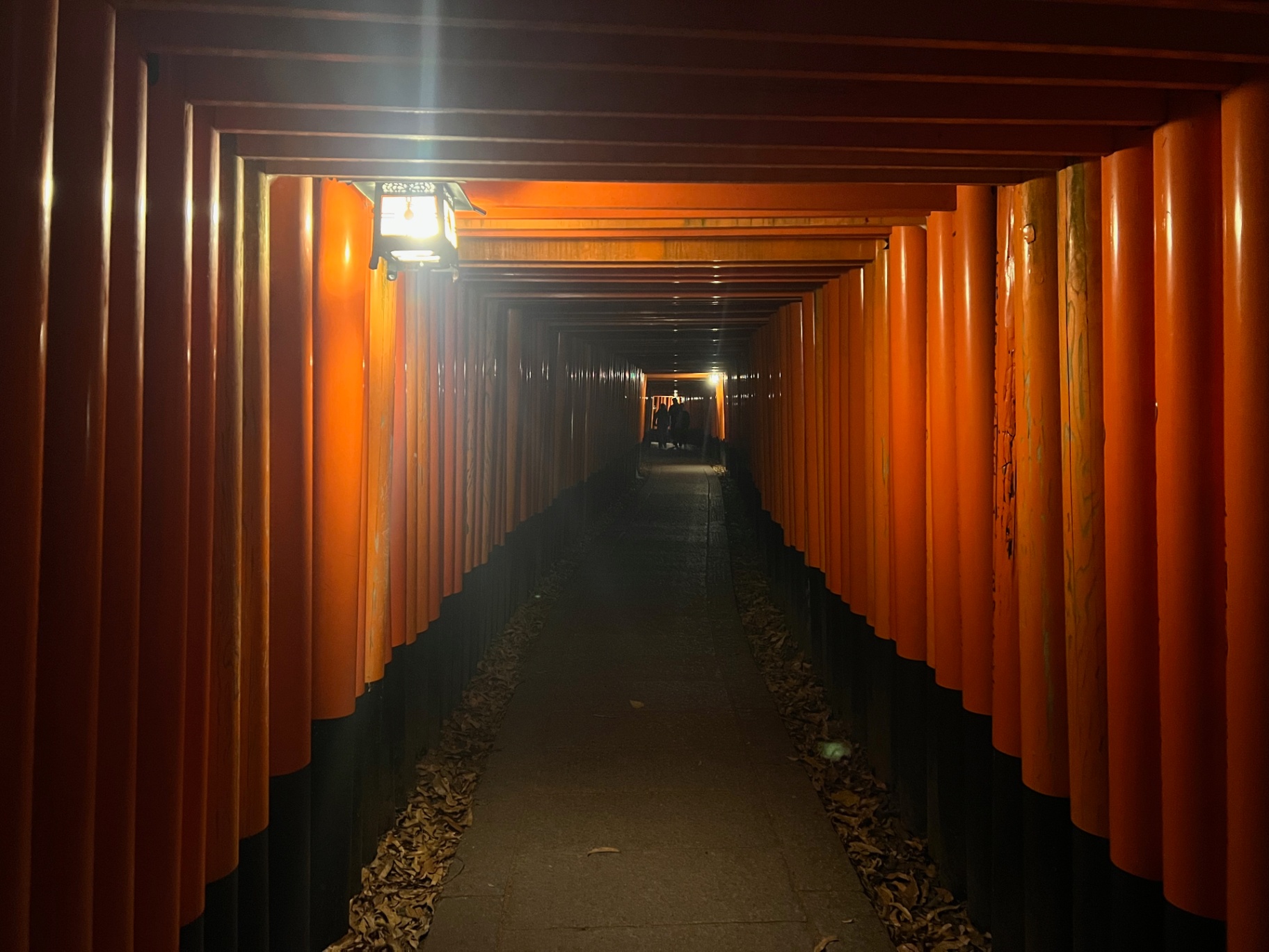 Kyoto — Tunnel of torii gates narrowing into shadow at Fushimi Inari.