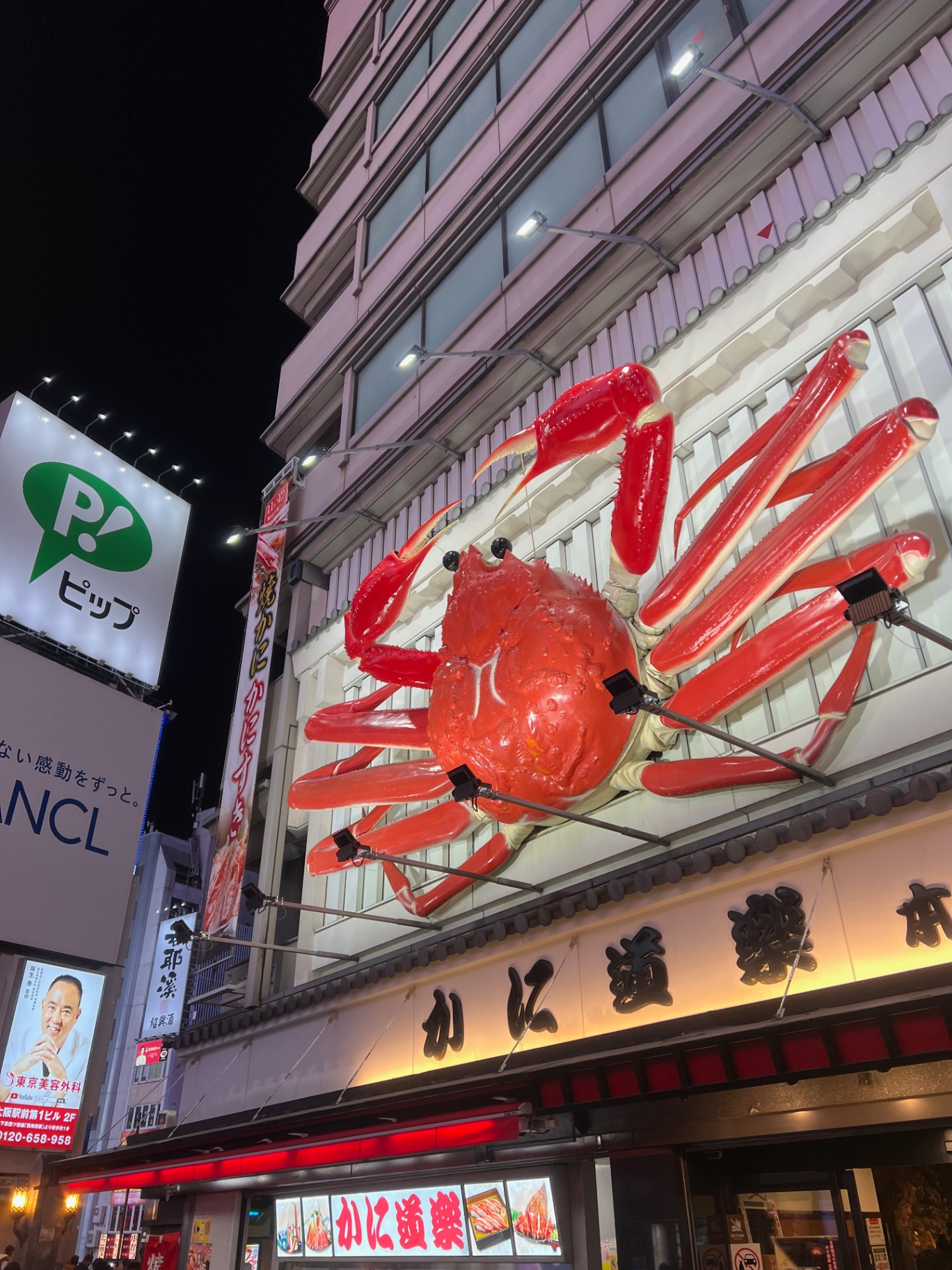 Osaka — The giant Kani Doraku crab clinging to a Dotonbori facade.
