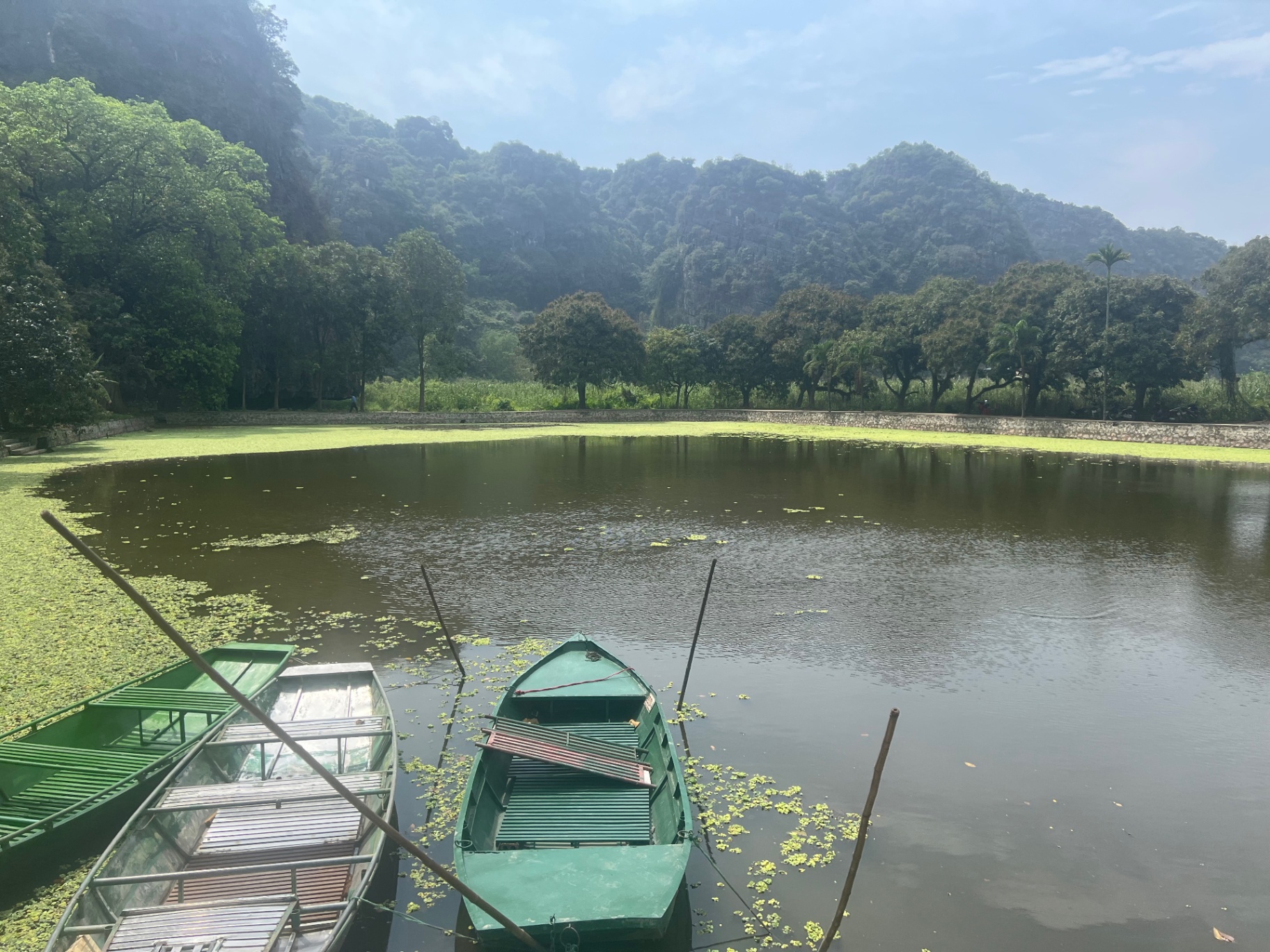 Ninh Binh — Wooden boats resting on a duckweed-green pond.