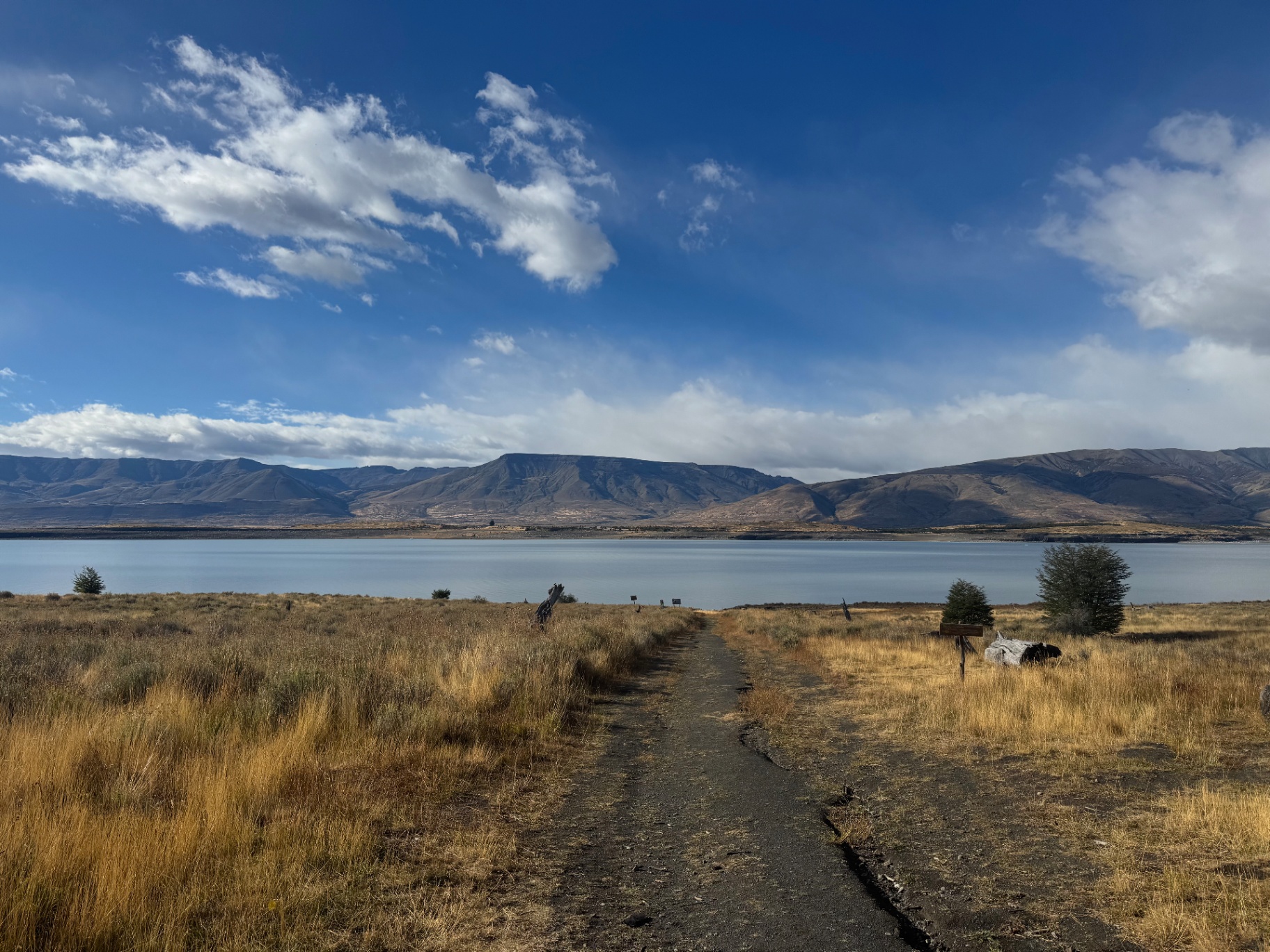 El Chalten — Lago Viedma stretched out beneath wide Patagonian skies.