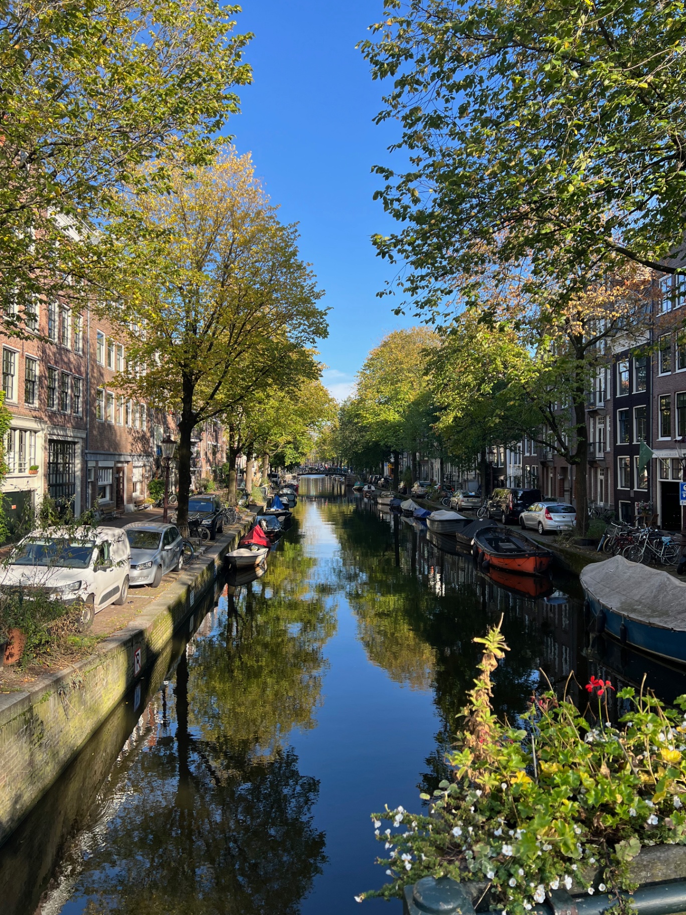 Amsterdam — A quiet canal mirrors the trees.