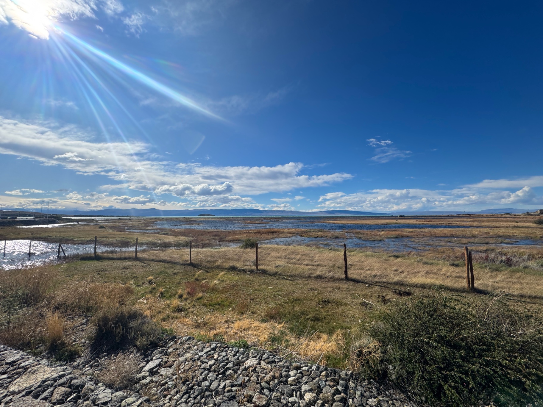 El Calafate — Wetlands and Lago Argentino under the Patagonian sun.