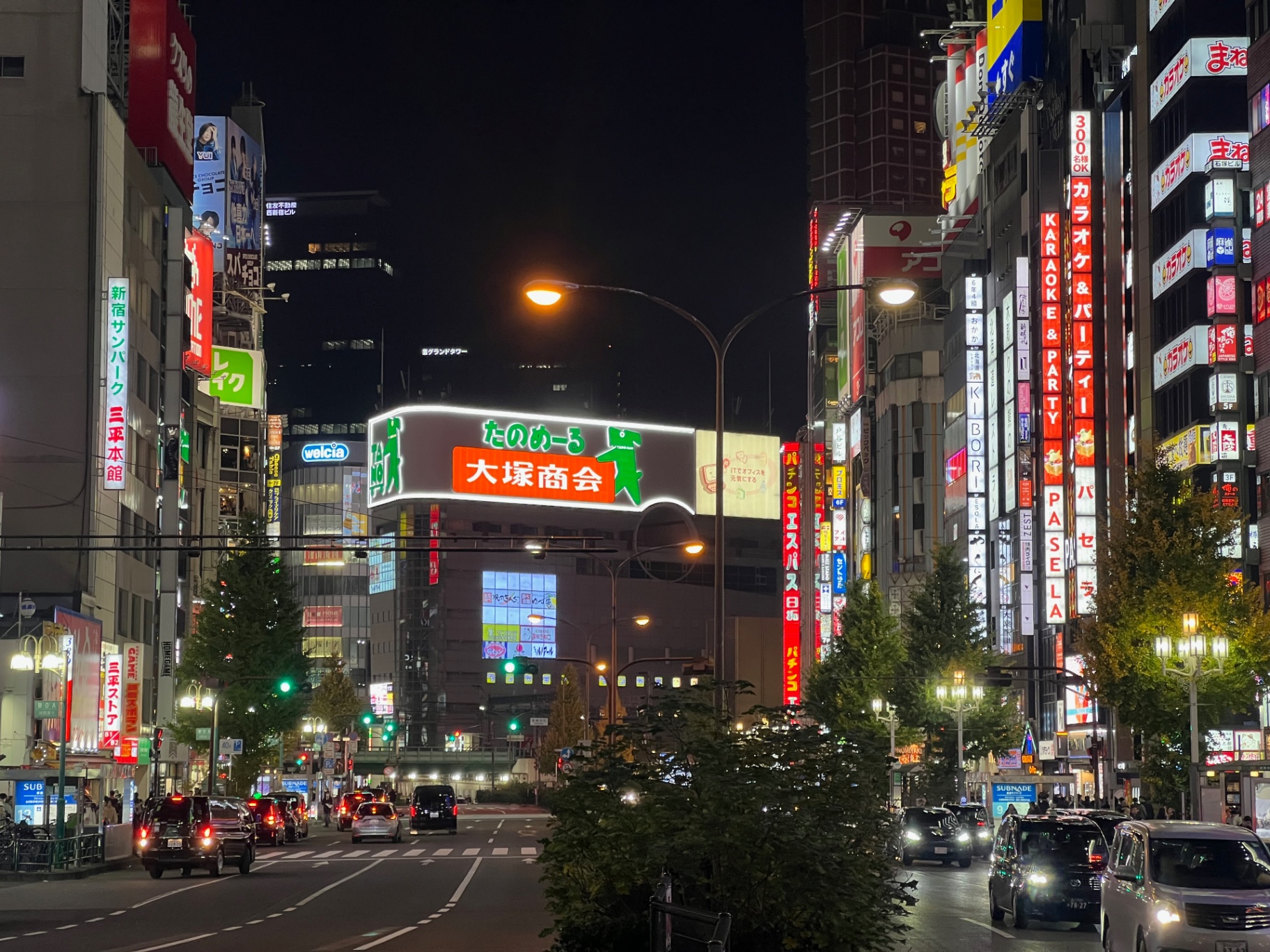Tokyo — Shinjuku boulevard at night, neon signs stacked from street to sky.