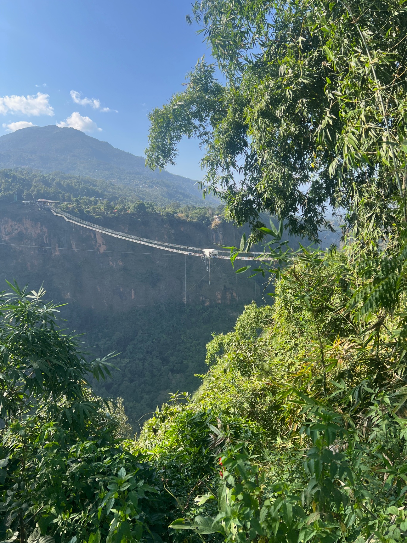 Pokhara — Suspension bridge strung across the gorge, framed by jungle.