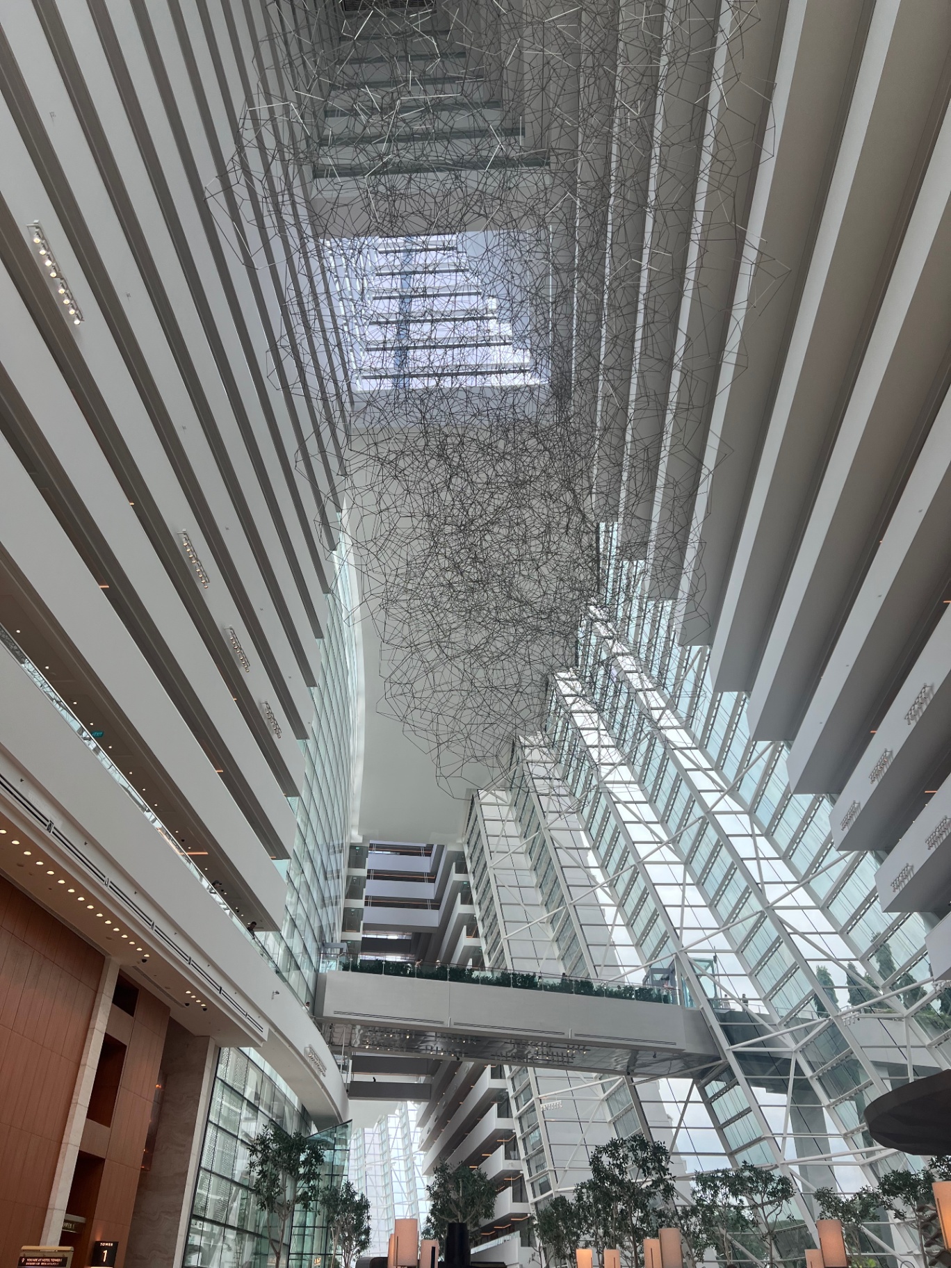 Singapore — Wire sculpture drifting through the glassy atrium like a suspended sketch.