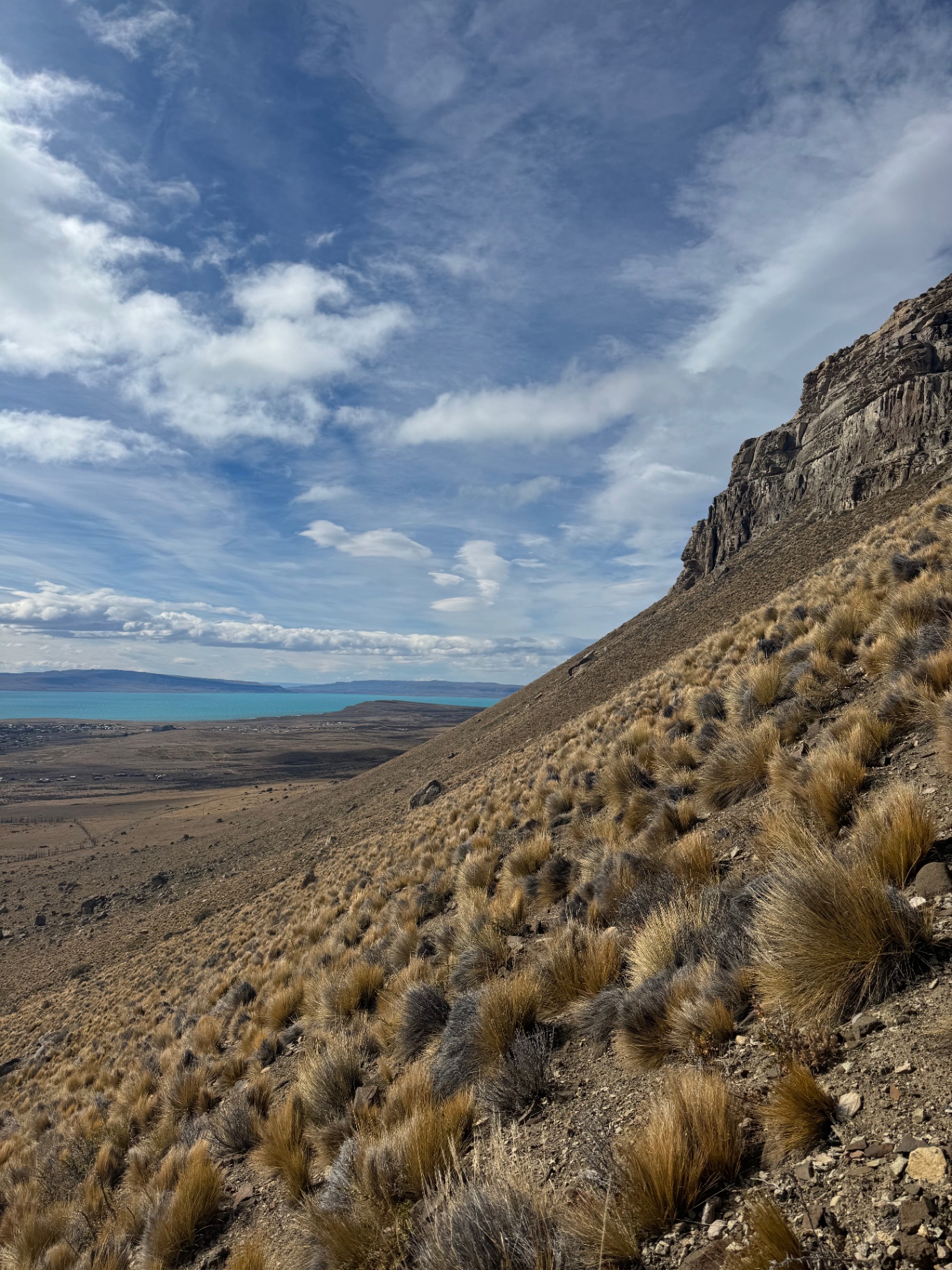 El Calafate — Tussock grass on the slopes above Lago Argentino.