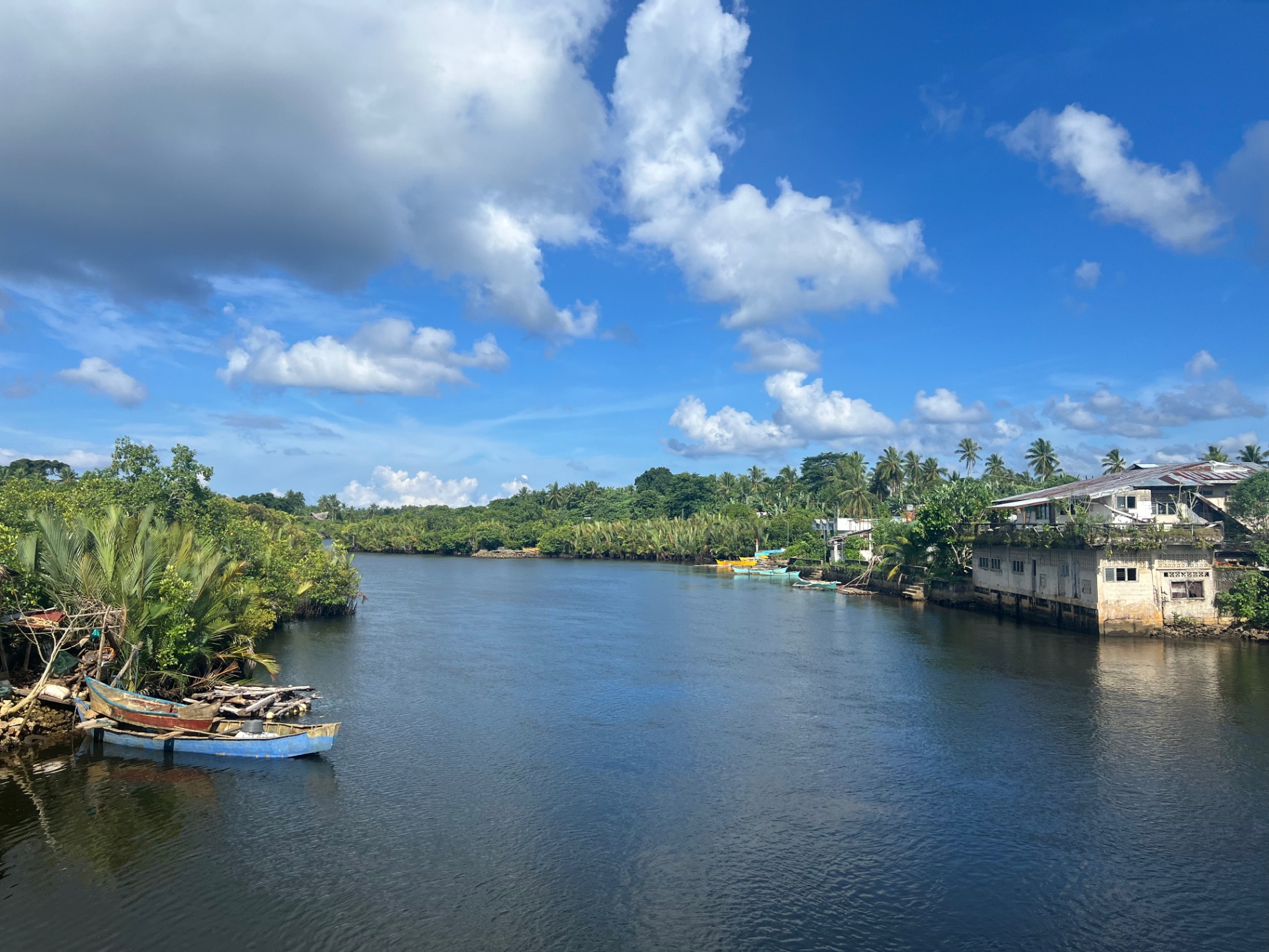 Siargao — Mangrove river bend under a bright Philippine sky.