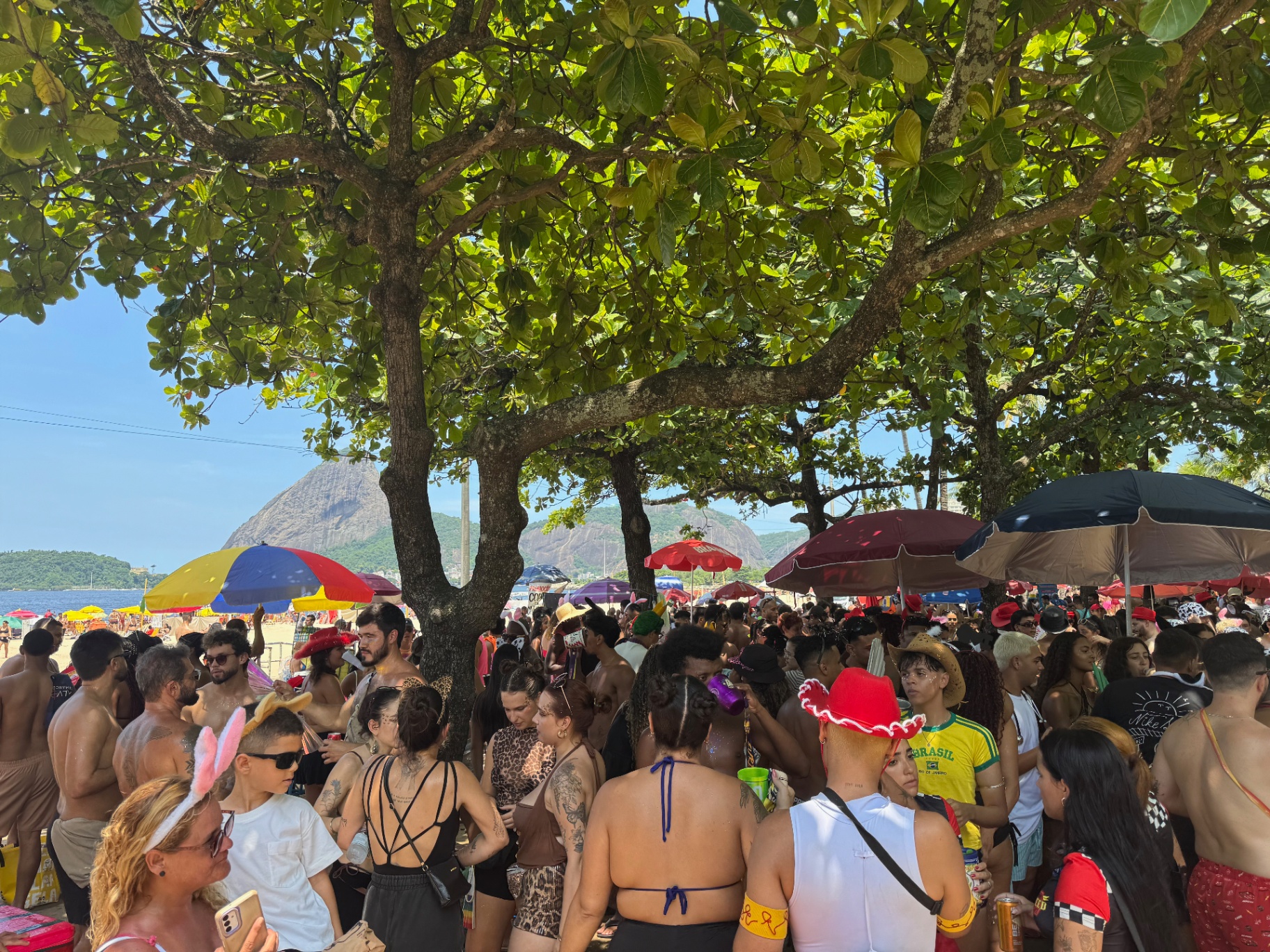 Rio de Janeiro — Carnaval bloco under the trees with Sugarloaf in the distance.