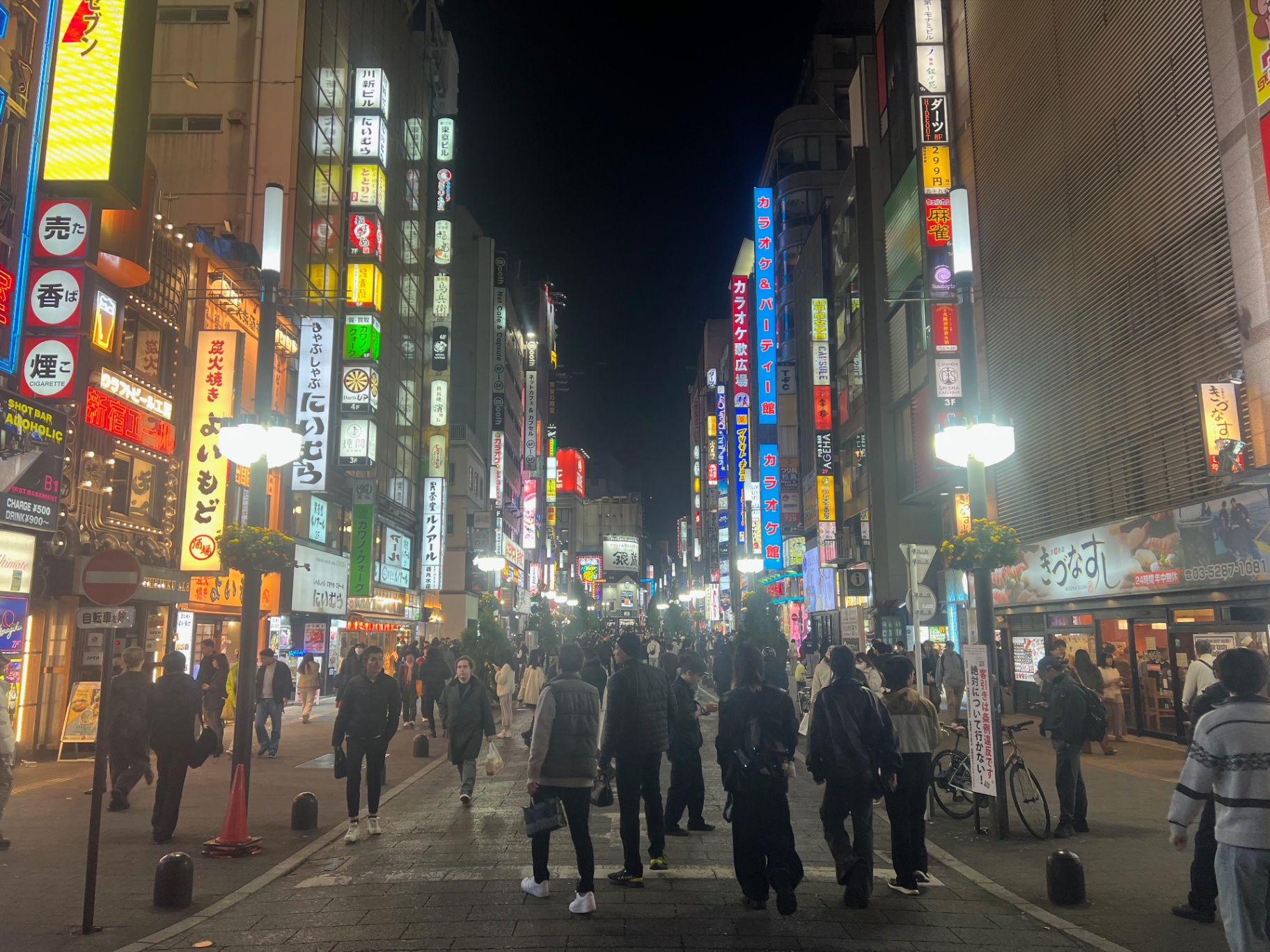 Tokyo — Kabukicho's pedestrian street alive with signs, lanterns and late-night crowds.