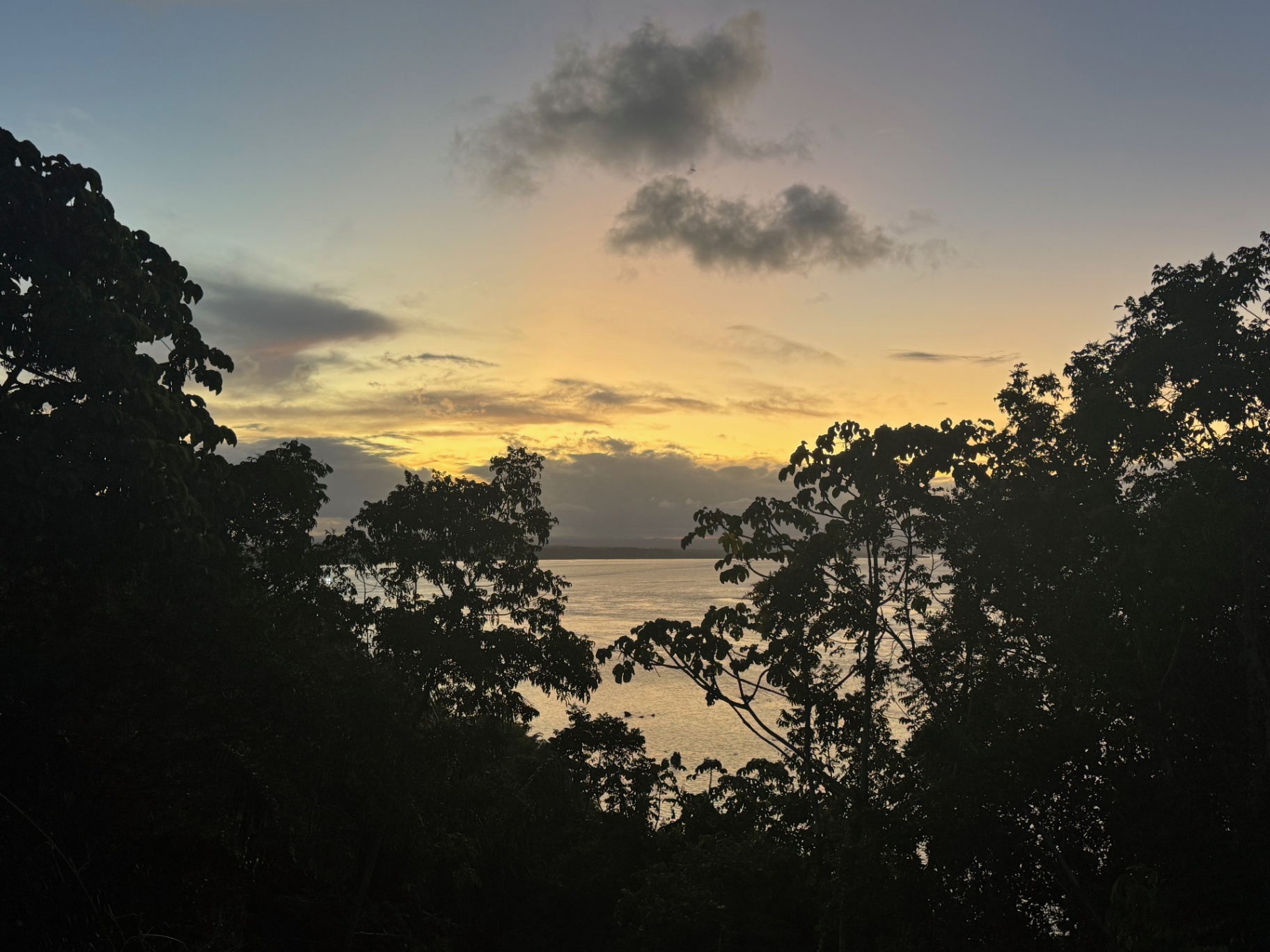 Morro de Sao Paulo — Sunset through the trees above the bay.
